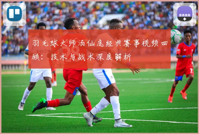 羽毛球大师汤仙虎经典赛事视频回顾：技术与战术深度解析